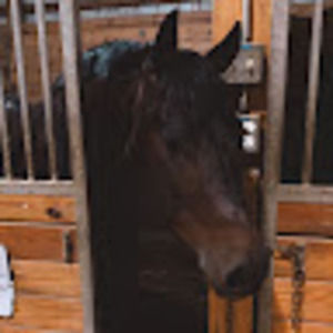 Meet your Posher, Grace